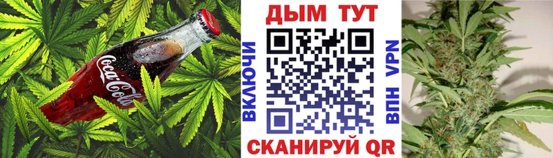 Купить  Шелехов  Canna-Cookies конопля 
