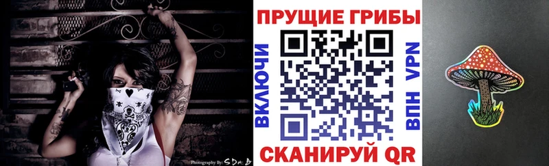 Псилоцибиновые грибы ЛСД  Купить где  Шелехов 