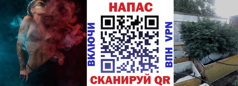 Конопля Amnesia  Купить где  Шелехов 